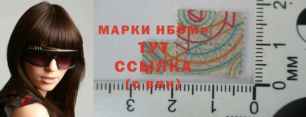 прущие грибы Абинск