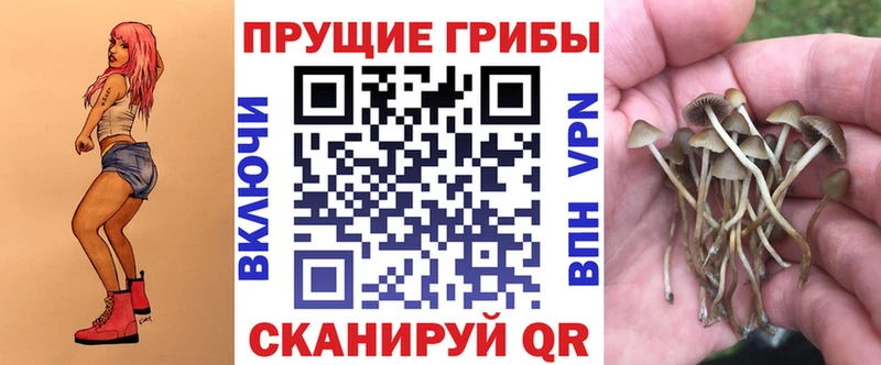 где купить наркоту Казань Галлюциногенные грибы Cubensis